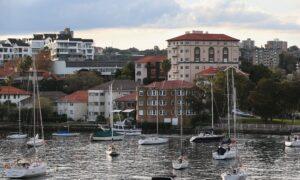 Vet Saves Woman Attacked by Shark in Sydney Harbour